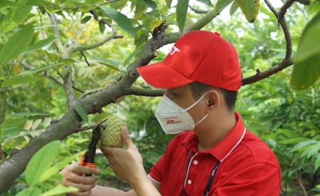 J&T Express hỗ trợ vận chuyển và tiêu thụ  trái cây giúp nhà nông tại Hưng Yên