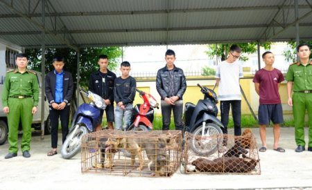 Bắt giữ băng nhóm gây ra hàng loạt vụ trộm chó